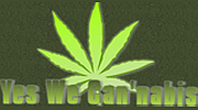 Yes We Cannabis