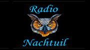 Radionachtuil